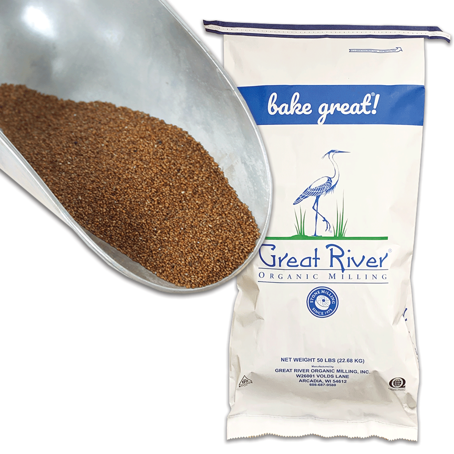 Teff Grain Nutrition Facts Besto Blog teff-grain-nutrition-facts-besto-blog