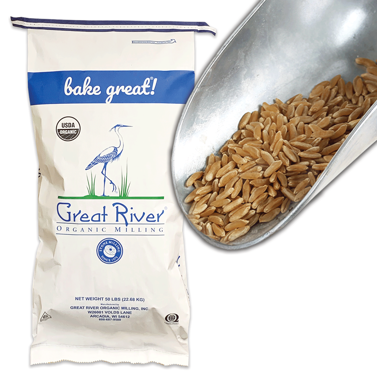 Organic Whole Grain Kamut Grain